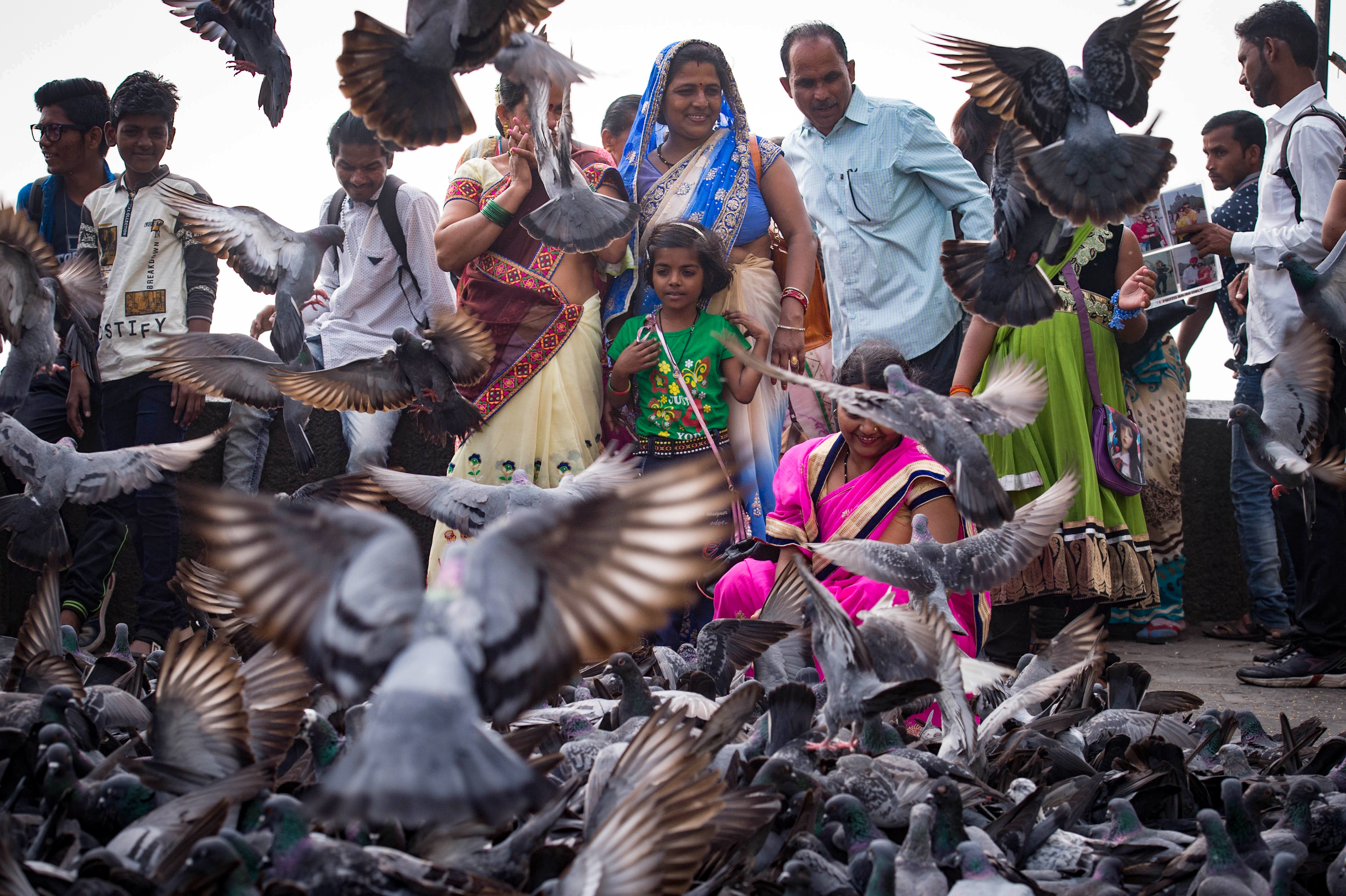Visitors to Mumbai feed pigeons near the Gate of India. The city